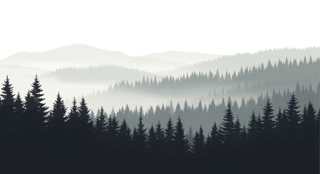 a serene landscape featuring layers of misty mountains and dense evergreen forests.