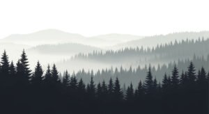 a serene landscape featuring layers of misty mountains and dense evergreen forests.